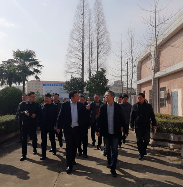 市委書(shū)記吳祖云一行到公司